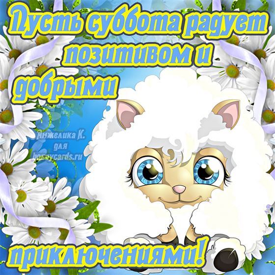 Забавная открытка на субботу с овечкой