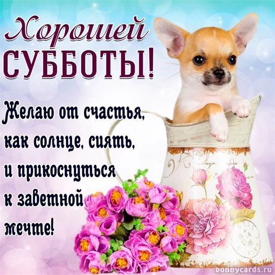 Милый песик желает хорошей субботы