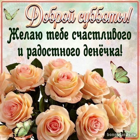 Картинка на субботу с пышными розами