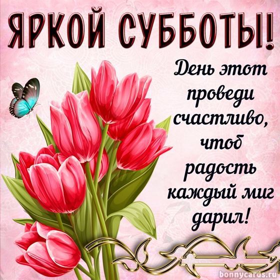 Креативная открытка на субботу с букетом тюльпанов