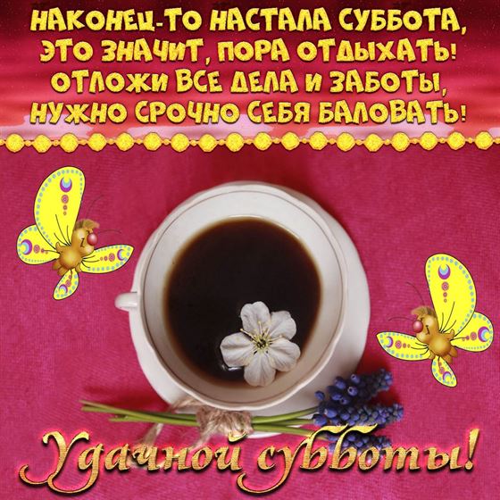 Наконец-то настала суббота, это значит - пора отдыхать