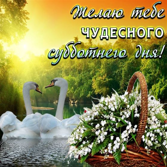 Оригинальная картинка на субботу с лебедями