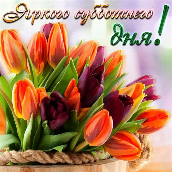 Яркая картинка на субботу с тюльпанами