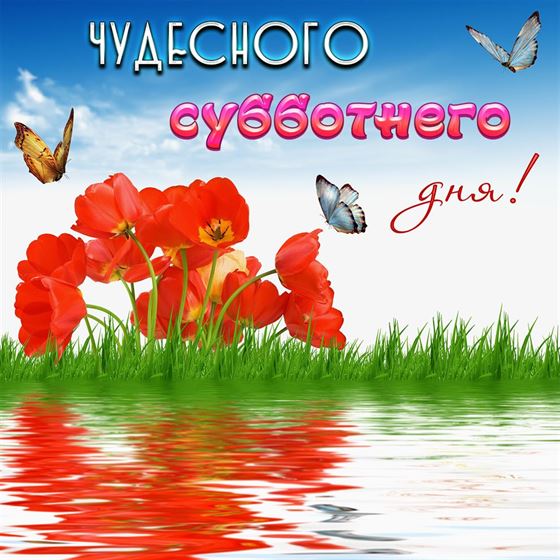 Картинка на субботу с красными цветами и бабочками