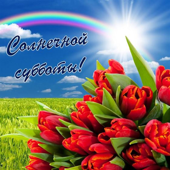 Открытка на субботу с тюльпанами и радугой