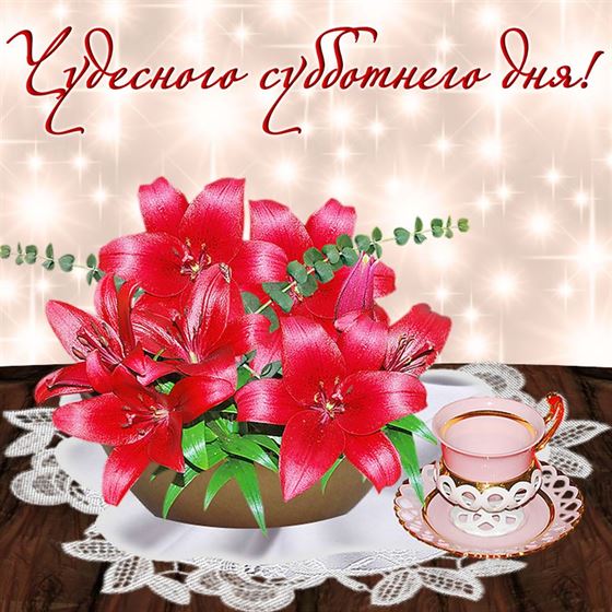 Красные лилии на субботу