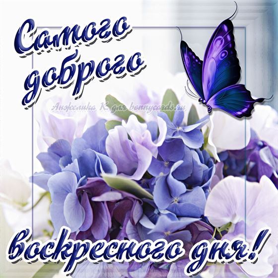 Открытка с сиреневыми цветами и бабочкой