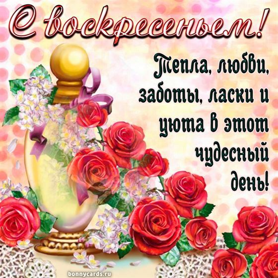 Тепла, любви, заботы, ласки в воскресенье