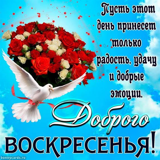 Креативная открытка с букетом и голубем