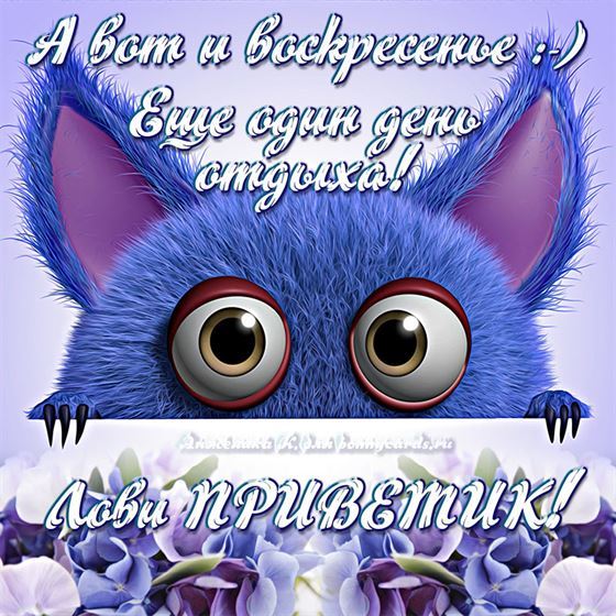 Смешная картинка на воскресенье с монстриком