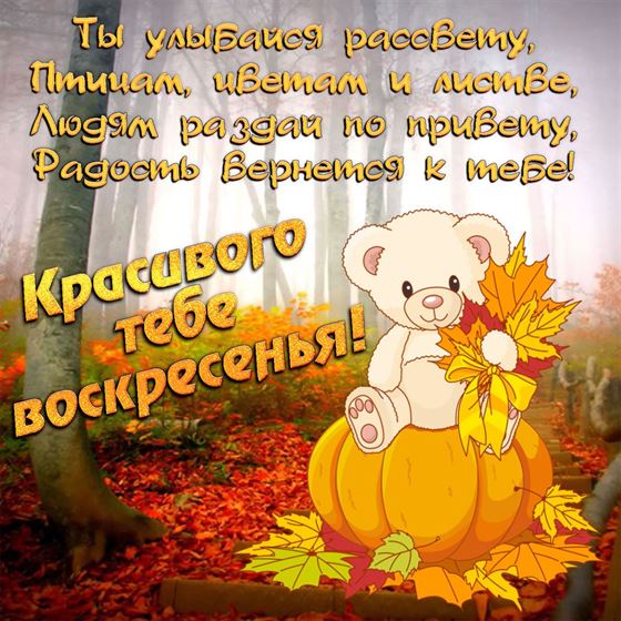 Креативная открытка на воскресенье с мишкой и тыквой