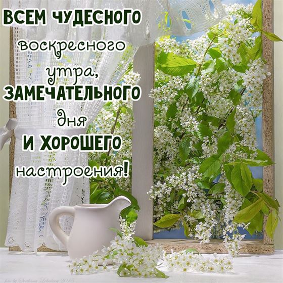 Чудесного воскресного утра