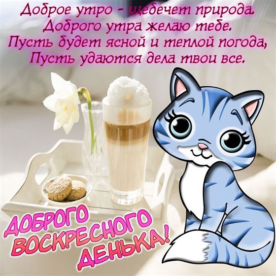 Милая открытка на воскресенье с синим котом