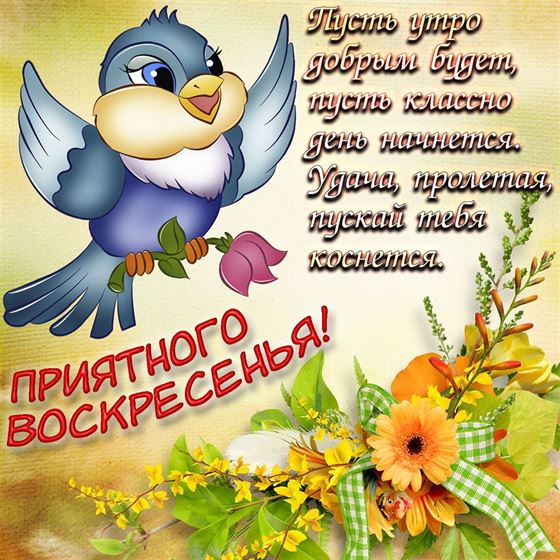Замечательная открытка на воскресенье с птичкой