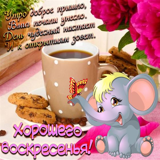 Забавный слоненок желает хорошего воскресенья