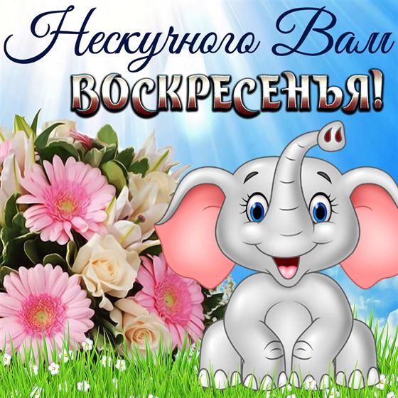 Смешная картинка со слоником на воскресенье