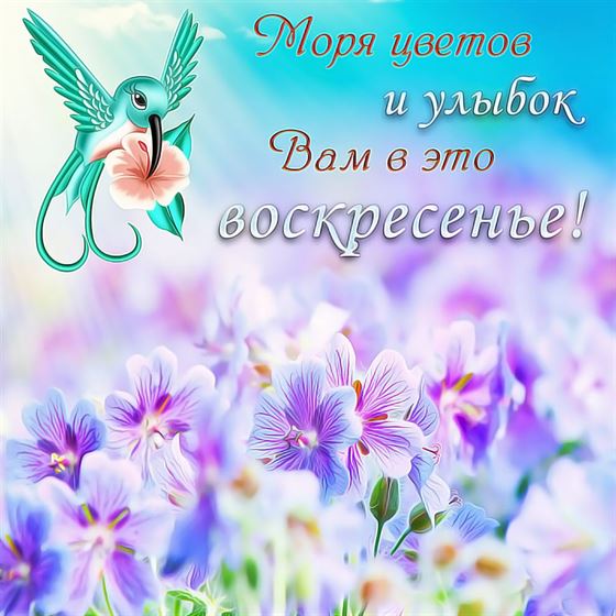 Красивая открытка на воскресенье с цветами и колибри