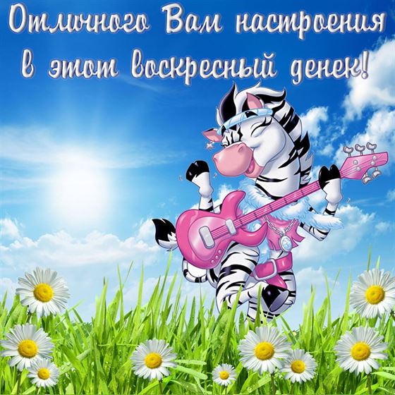 Прикольная открытка с зеброй с гитарой