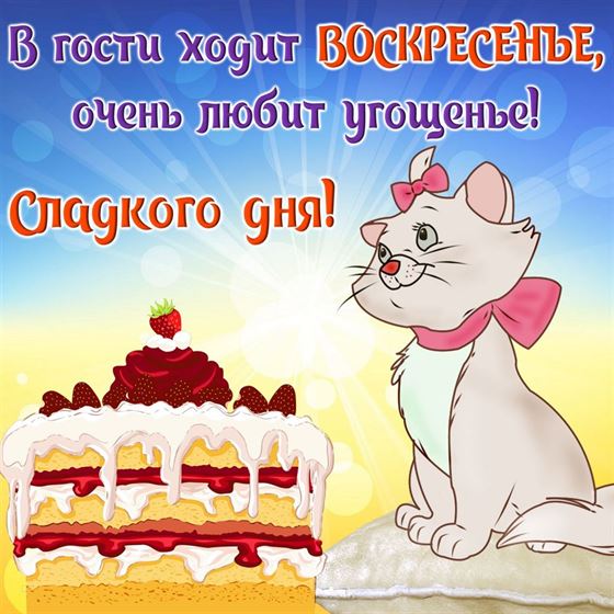 Трогательная картинка на воскресенье с кошкой и тортом