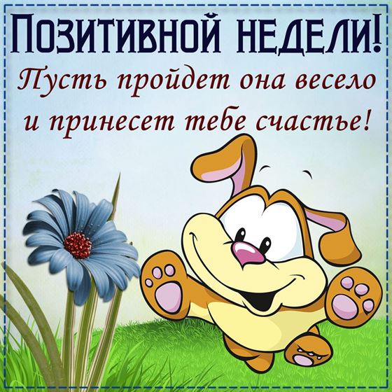 Забавная открытка на начало недели с рисованной собачкой
