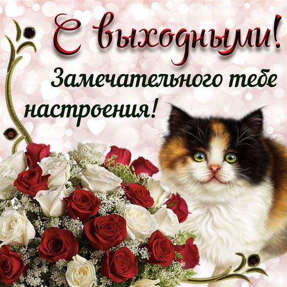 Открытка с котенком и букетом на выходные