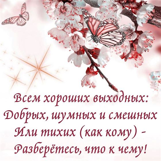Красивая картинка на выходные с цветами и бабочкой