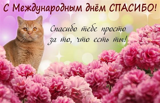 Котик в цветах поздравляет с Днем спасибо