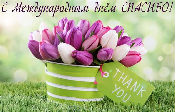 Трогательная открытка на День спасибо с тюльпанами