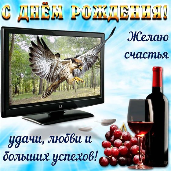 Оригинальная открытка с соколом