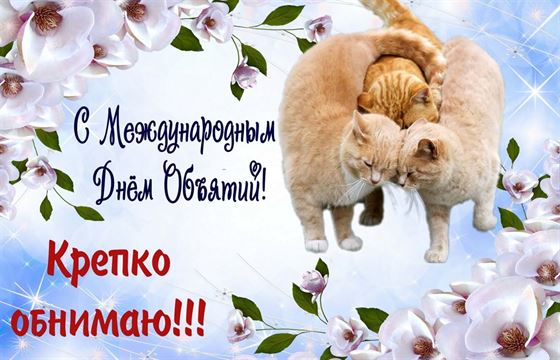 Красивая открытка с котами в цветах на День объятий