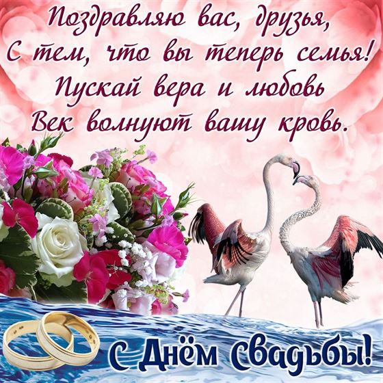 Трогательная открытка на День свадьбы с фламинго