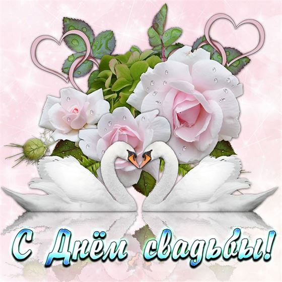 Картинка на День свадьбы с лебедями и розами