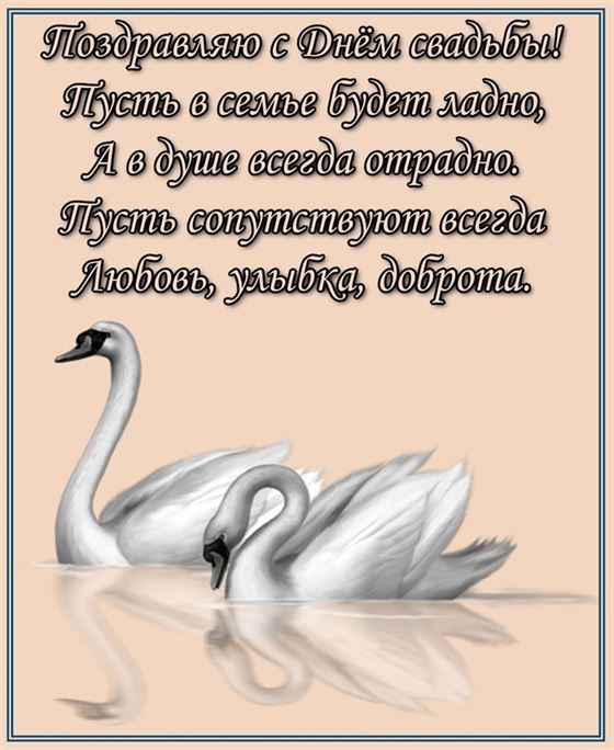 Поздравление на День свадьбы с белыми лебедями
