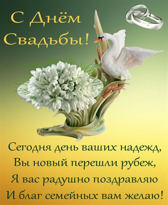 Открытка на День свадьбы с голубем на зеленом фоне