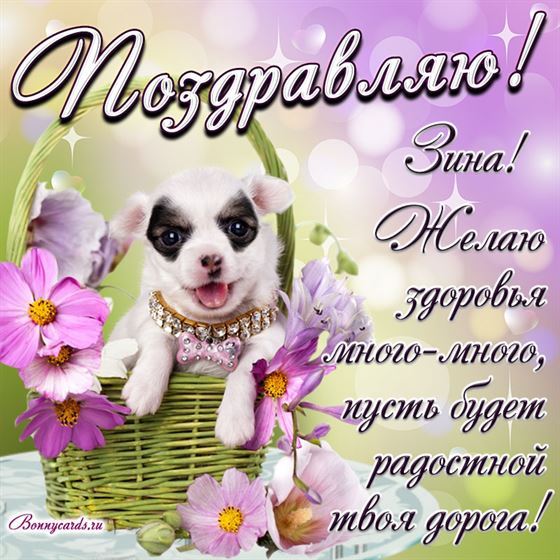 Милый пёсик в корзине и красивое пожелание Зине