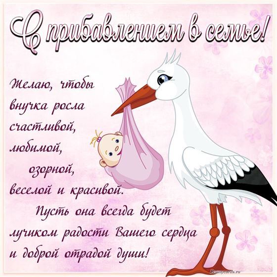 Забавная открытка на рождение внучки с аистом