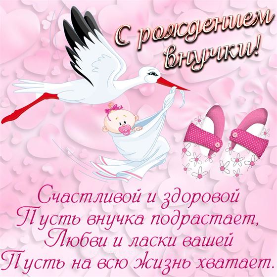 Картинка с аистом и поздравлением на рождение внучки