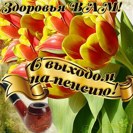 Тюльпаны и трубка к выходу на пенсию