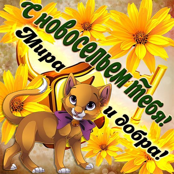 Прикольная открытка с котом с новосельем