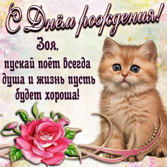 Креативная открытка с милым котёнком и розой Зое на День рождения