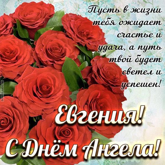 Пышный букет Алых роз для Евгении на именины