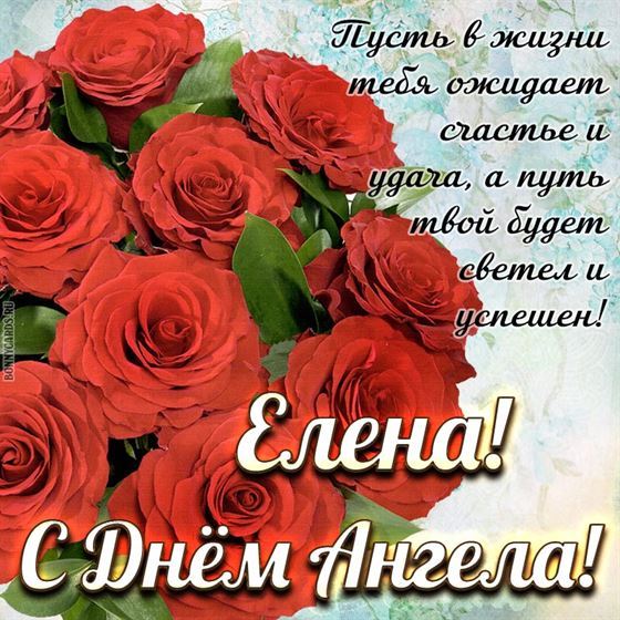 Пышный букет Алых роз для Елены на именины