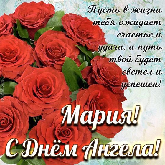 Пышный букет Алых роз для Марии на именины