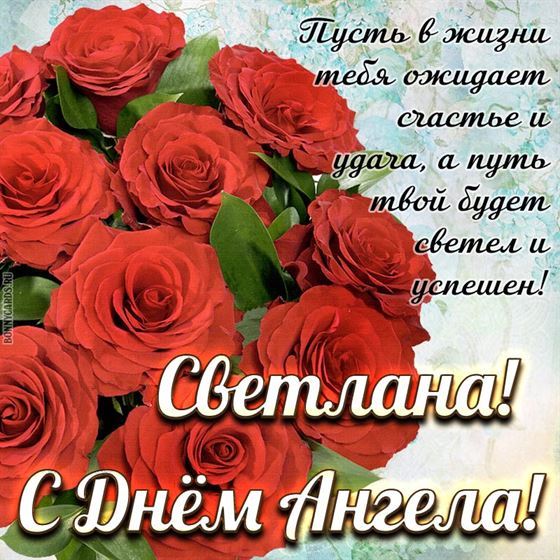 Пышный букет Алых роз для Светланы на именины