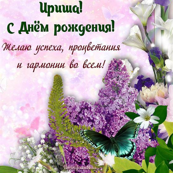 Картинка с бабочкой и цветами на День рождения Ирише