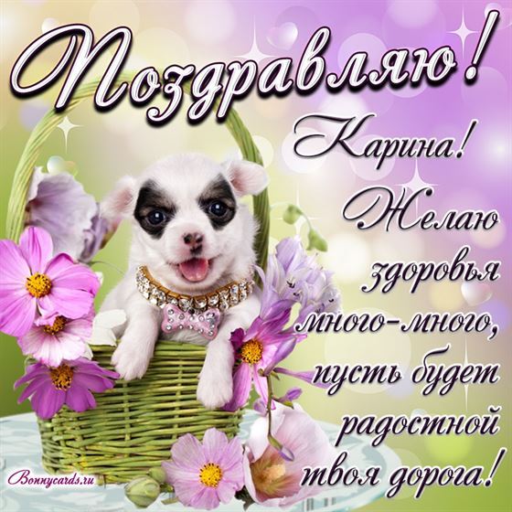 Милый пёсик в корзине и красивое пожелание Карине