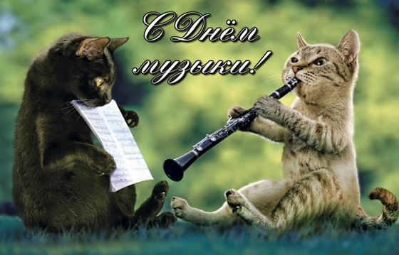 Котики-музыканты поздравляют с Днем музыки