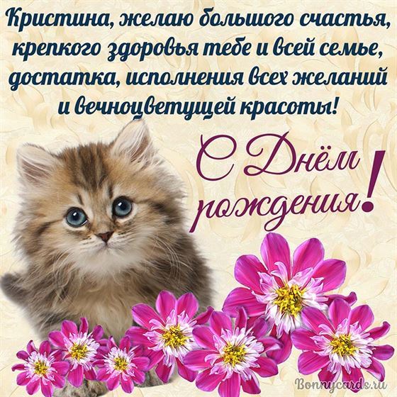 Милый котенок поздравляет с Днем рождения Кристину