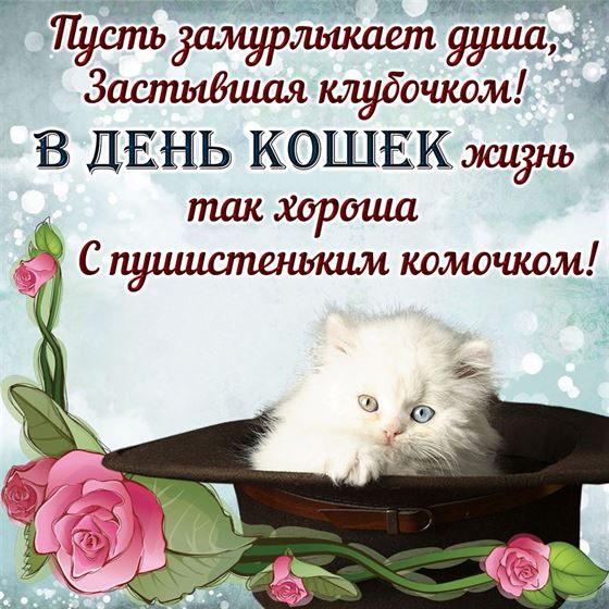 Картинка на День кошек с котом в шляпе