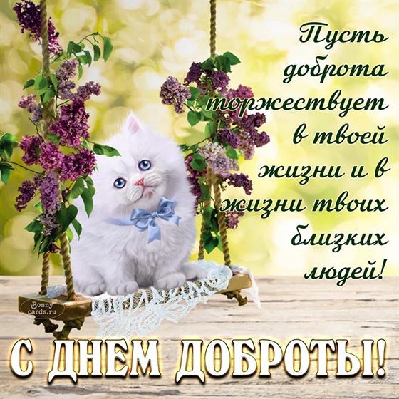 Картинка на День доброты с котом на качелях